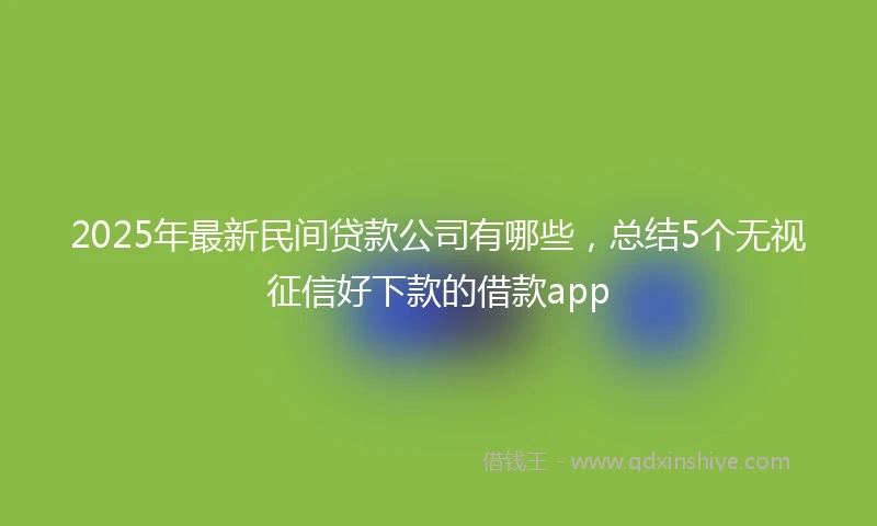 2025年最新民间贷款公司有哪些，总结5个无视征信好下款的借款app