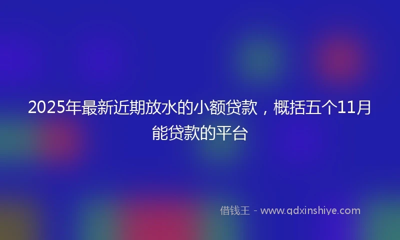 2025年最新近期放水的小额贷款，概括五个11月能贷款的平台