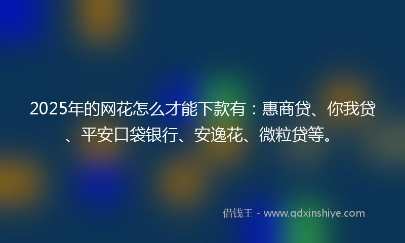 2025年的网花怎么才能下款有：惠商贷、你我贷、平安口袋银行、安逸花、微粒贷等。