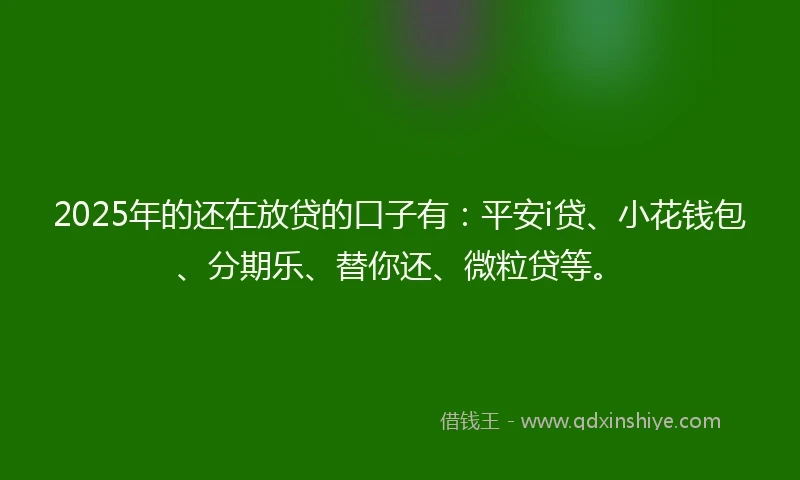 2025年的还在放贷的口子有：平安i贷、小花钱包、分期乐、替你还、微粒贷等。