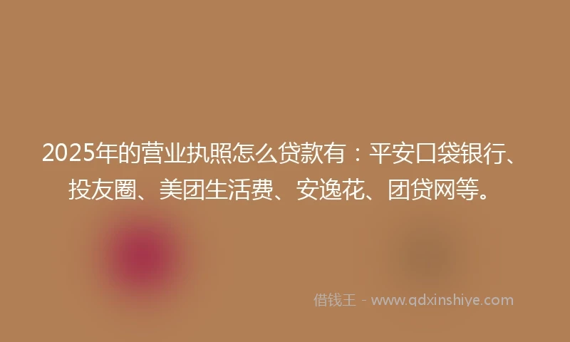 2025年的营业执照怎么贷款有：平安口袋银行、投友圈、美团生活费、安逸花、团贷网等。