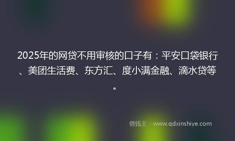 2025年的网贷不用审核的口子有：平安口袋银行、美团生活费、东方汇、度小满金融、滴水贷等。