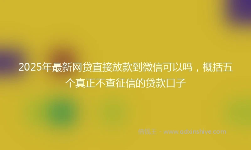 2025年最新网贷直接放款到微信可以吗，概括五个真正不查征信的贷款口子