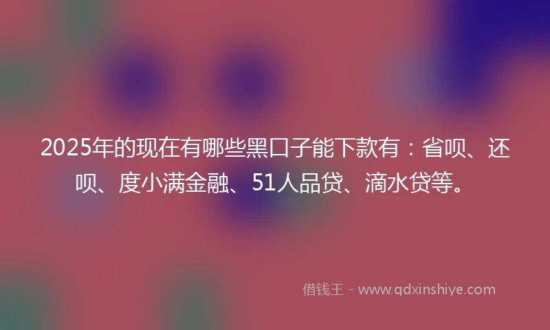 2025年的现在有哪些黑口子能下款有：省呗、还呗、度小满金融、51人品贷、滴水贷等。