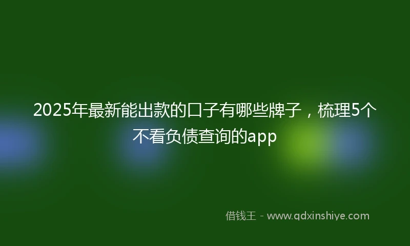 2025年最新能出款的口子有哪些牌子,梳理5个不看负债查询的app
