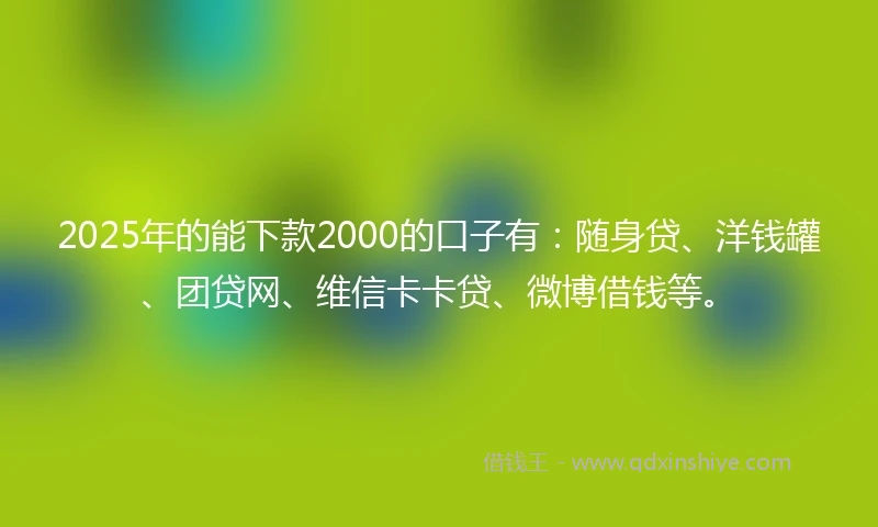 2025年的能下款2000的口子有：随身贷、洋钱罐、团贷网、维信卡卡贷、微博借钱等。