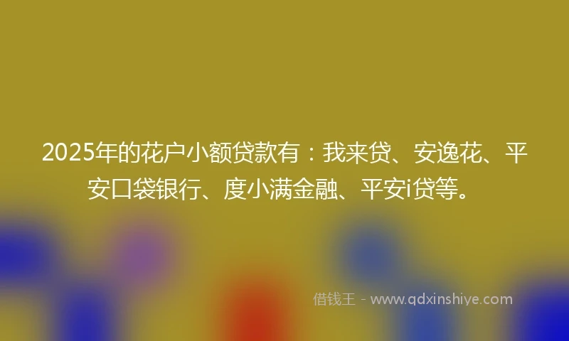 2025年的花户小额贷款有：我来贷、安逸花、平安口袋银行、度小满金融、平安i贷等。