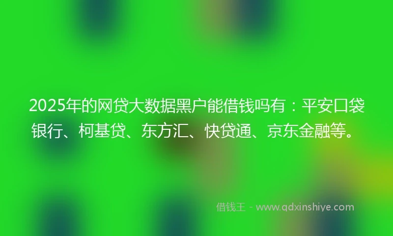 2025年的网贷大数据黑户能借钱吗有：平安口袋银行、柯基贷、东方汇、快贷通、京东金融等。