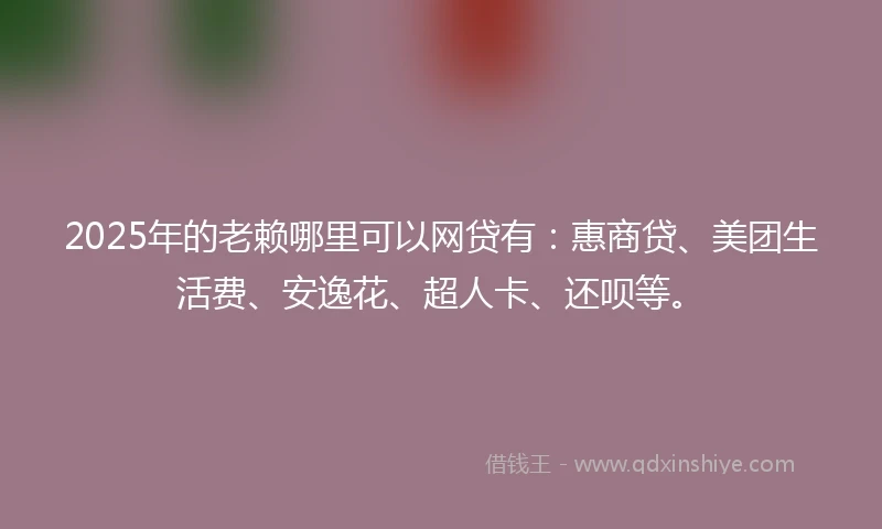 2025年的老赖哪里可以网贷有：惠商贷、美团生活费、安逸花、超人卡、还呗等。