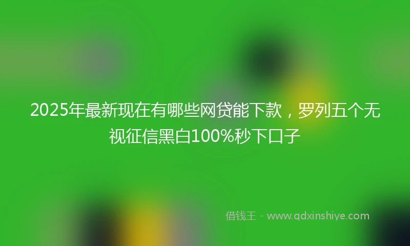 2025年最新现在有哪些网贷能下款，罗列五个无视征信黑白100%秒下口子