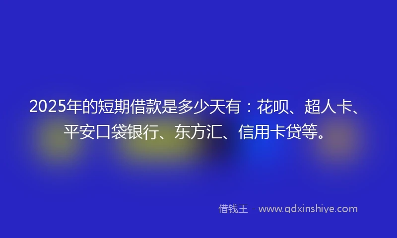 2025年的短期借款是多少天有：花呗、超人卡、平安口袋银行、东方汇、信用卡贷等。