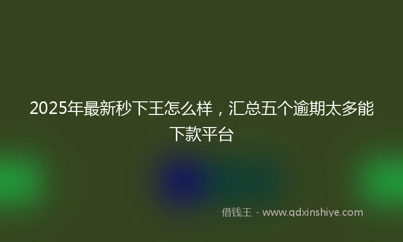2025年最新秒下王怎么样，汇总五个逾期太多能下款平台