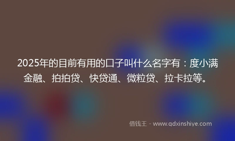 2025年的目前有用的口子叫什么名字有：度小满金融、拍拍贷、快贷通、微粒贷、拉卡拉等。