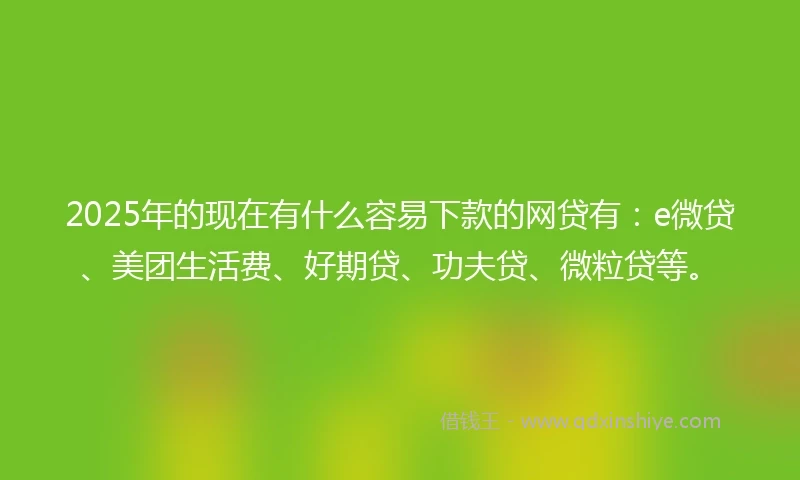 2025年的现在有什么容易下款的网贷有：e微贷、美团生活费、好期贷、功夫贷、微粒贷等。