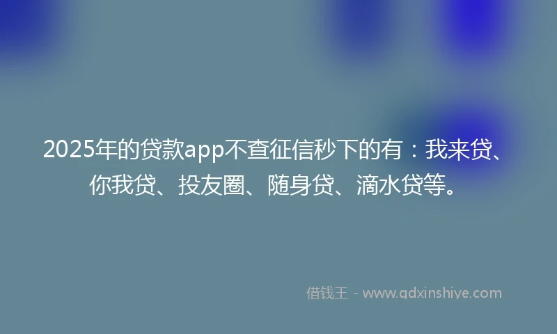 2025年的贷款app不查征信秒下的有：我来贷、你我贷、投友圈、随身贷、滴水贷等。