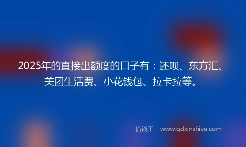 2025年的直接出额度的口子有：还呗、东方汇、美团生活费、小花钱包、拉卡拉等。