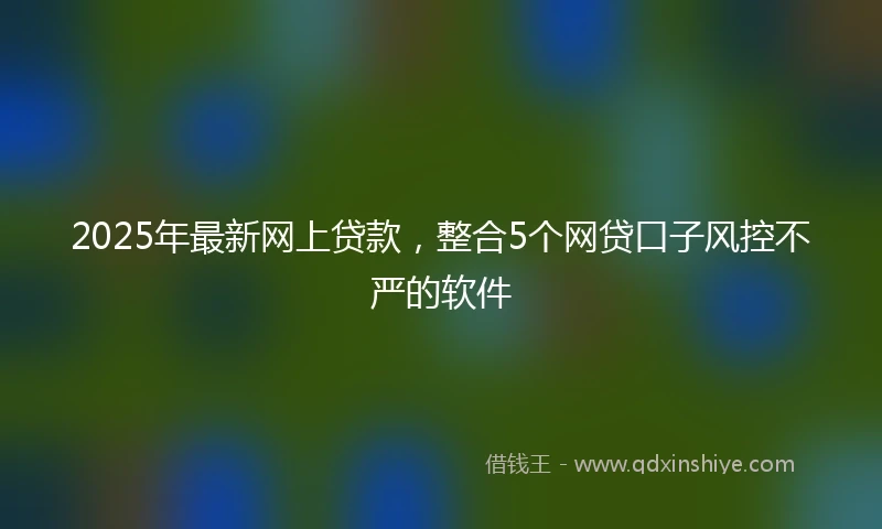 2025年最新网上贷款，整合5个网贷口子风控不严的软件