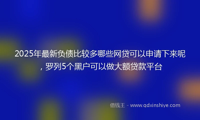 2025年最新负债比较多哪些网贷可以申请下来呢,罗列5个黑户可以做大额贷款平台