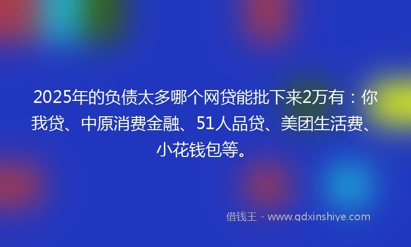 2025年的负债太多哪个网贷能批下来2万有：你我贷、中原消费金融、51人品贷、美团生活费、小花钱包等。