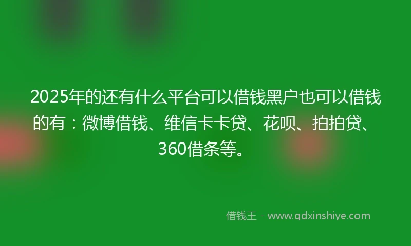 2025年的还有什么平台可以借钱黑户也可以借钱的有：微博借钱、维信卡卡贷、花呗、拍拍贷、360借条等。