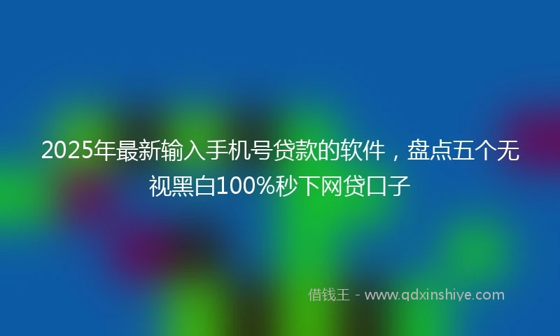 2025年最新输入手机号贷款的软件，盘点五个无视黑白100%秒下网贷口子
