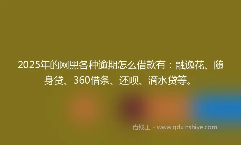 2025年的网黑各种逾期怎么借款有：融逸花、随身贷、360借条、还呗、滴水贷等。