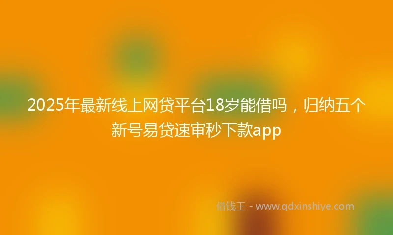 2025年最新线上网贷平台18岁能借吗，归纳五个新号易贷速审秒下款app