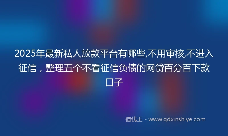 2025年最新私人放款平台有哪些,不用审核,不进入征信，整理五个不看征信负债的网贷百分百下款口子
