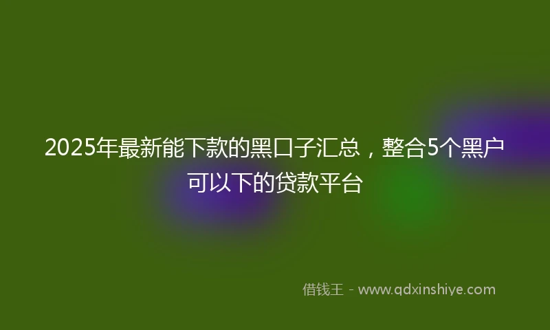 2025年最新能下款的黑口子汇总，整合5个黑户可以下的贷款平台