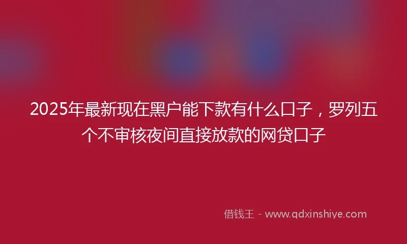 2025年最新现在黑户能下款有什么口子，罗列五个不审核夜间直接放款的网贷口子