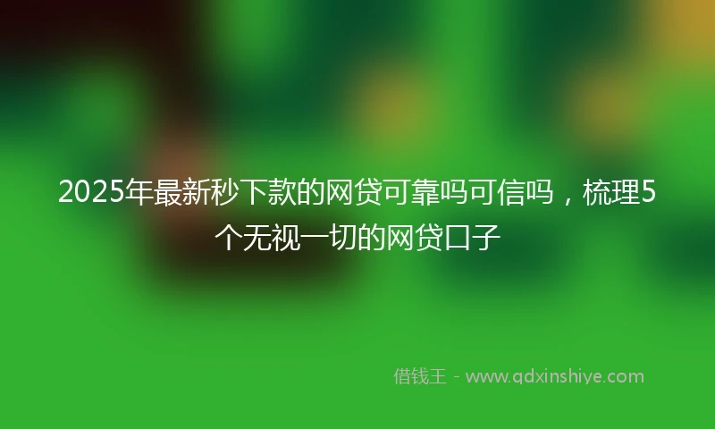 2025年最新秒下款的网贷可靠吗可信吗，梳理5个无视一切的网贷口子