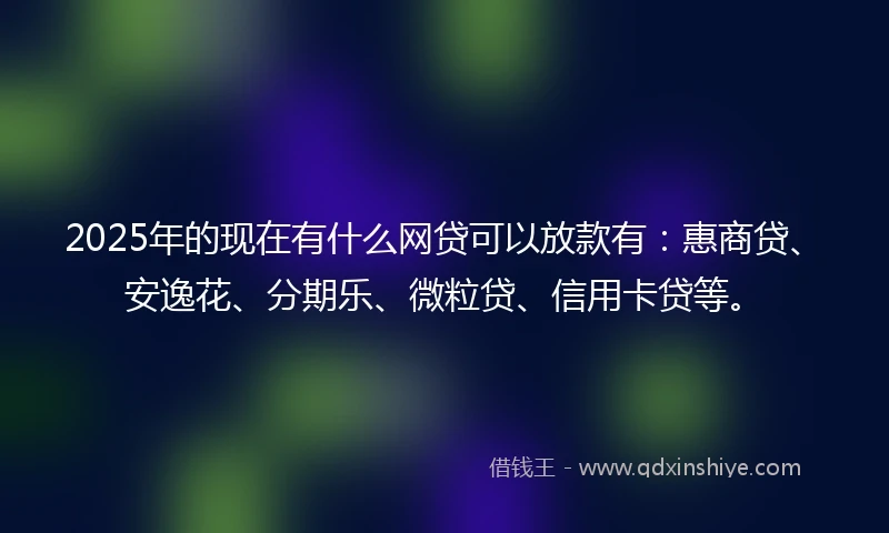 2025年的现在有什么网贷可以放款有：惠商贷、安逸花、分期乐、微粒贷、信用卡贷等。