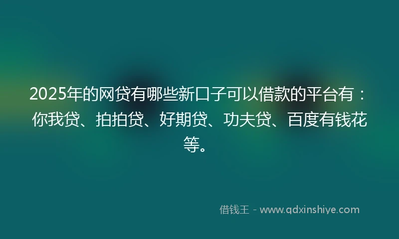 2025年的网贷有哪些新口子可以借款的平台有：你我贷、拍拍贷、好期贷、功夫贷、百度有钱花等。