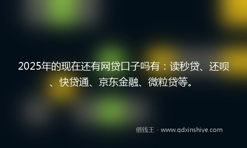 2025年的现在还有网贷口子吗有：读秒贷、还呗、快贷通、京东金融、微粒贷等。