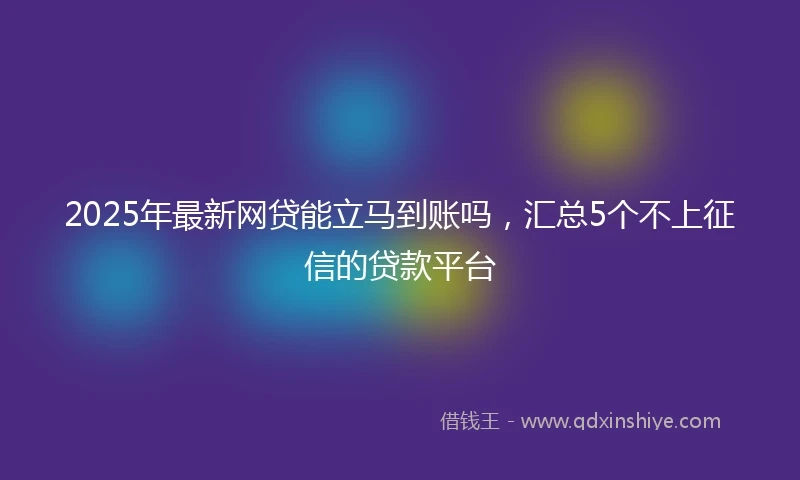 2025年最新网贷能立马到账吗，汇总5个不上征信的贷款平台
