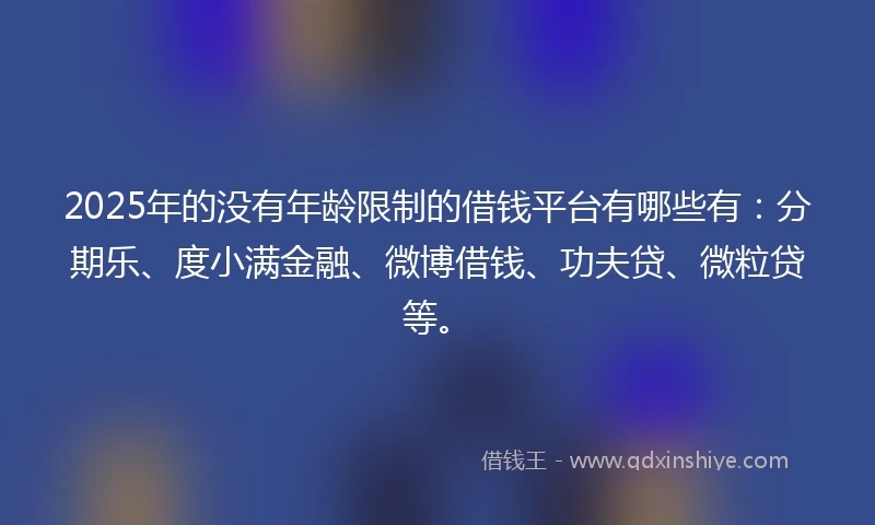 2025年的没有年龄限制的借钱平台有哪些有：分期乐、度小满金融、微博借钱、功夫贷、微粒贷等。