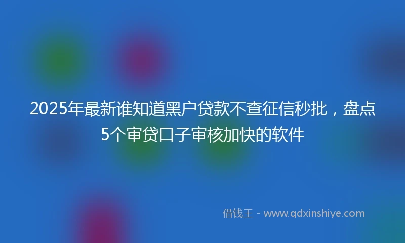 2025年最新谁知道黑户贷款不查征信秒批，盘点5个审贷口子审核加快的软件