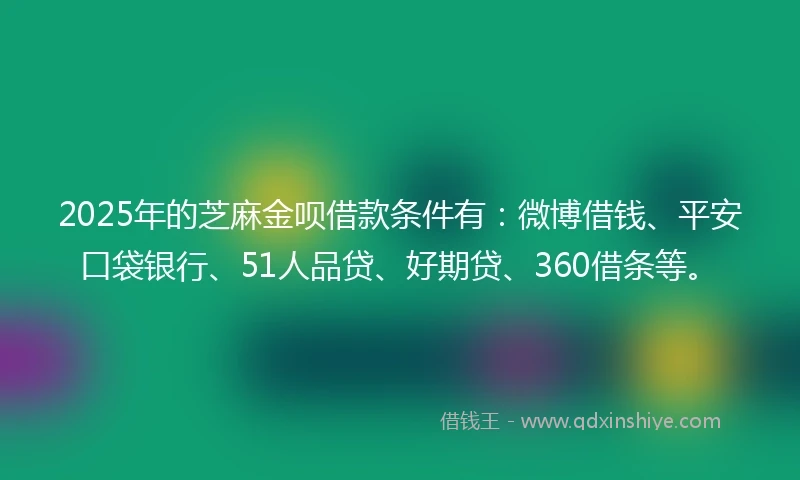 2025年的芝麻金呗借款条件有：微博借钱、平安口袋银行、51人品贷、好期贷、360借条等。
