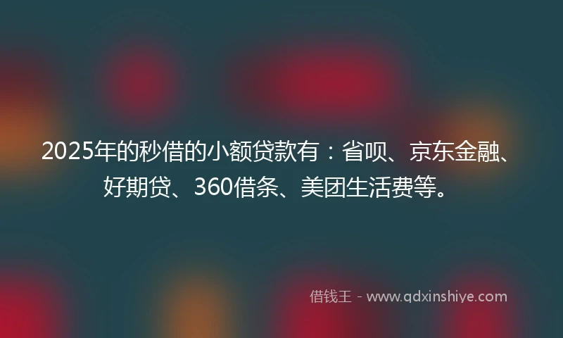 2025年的秒借的小额贷款有：省呗、京东金融、好期贷、360借条、美团生活费等。