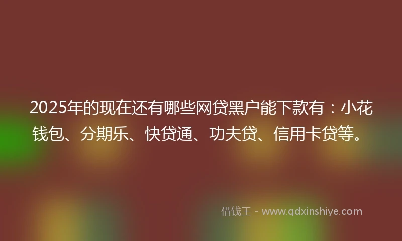 2025年的现在还有哪些网贷黑户能下款有：小花钱包、分期乐、快贷通、功夫贷、信用卡贷等。