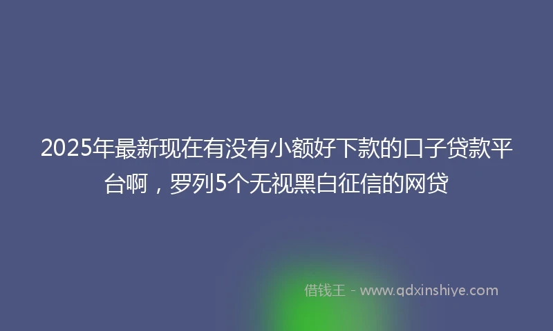 2025年最新现在有没有小额好下款的口子贷款平台啊，罗列5个无视黑白征信的网贷