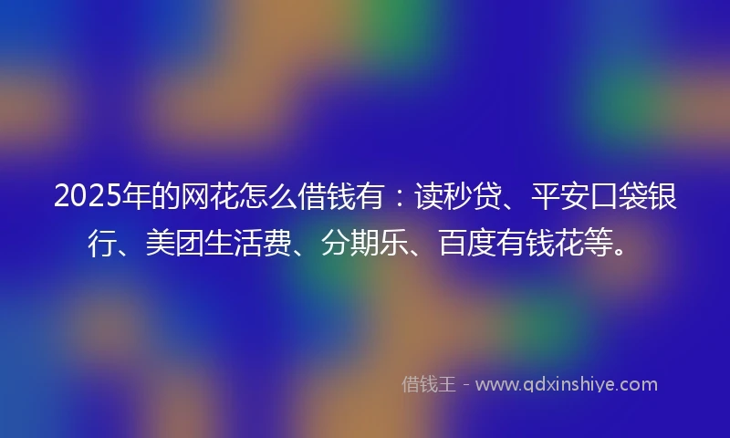 2025年的网花怎么借钱有：读秒贷、平安口袋银行、美团生活费、分期乐、百度有钱花等。