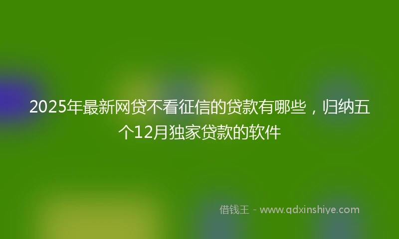 2025年最新网贷不看征信的贷款有哪些，归纳五个12月独家贷款的软件