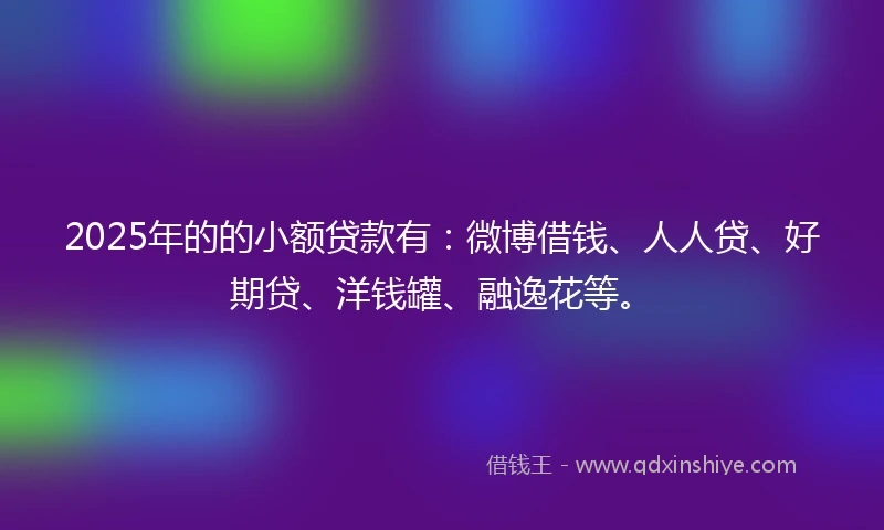 2025年的的小额贷款有：微博借钱、人人贷、好期贷、洋钱罐、融逸花等。