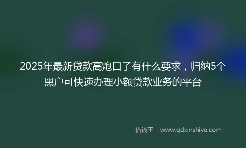 2025年最新贷款高炮口子有什么要求,归纳5个黑户可快速办理小额贷款业务的平台