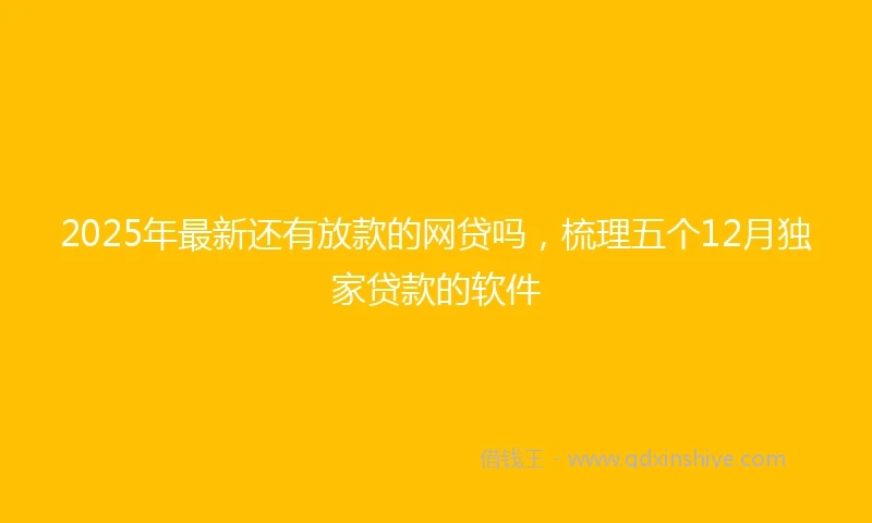 2025年最新还有放款的网贷吗，梳理五个12月独家贷款的软件