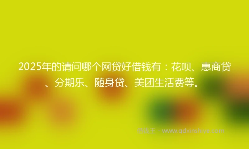 2025年的请问哪个网贷好借钱有：花呗、惠商贷、分期乐、随身贷、美团生活费等。