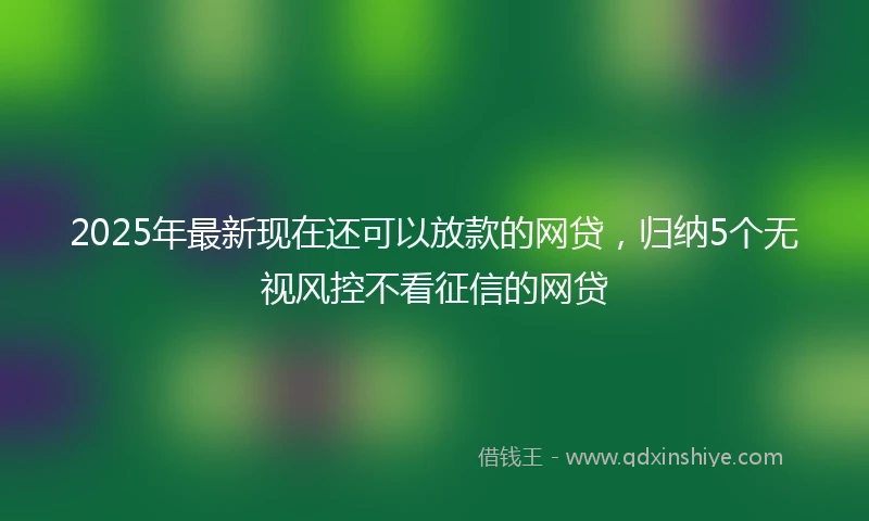 2025年最新现在还可以放款的网贷，归纳5个无视风控不看征信的网贷
