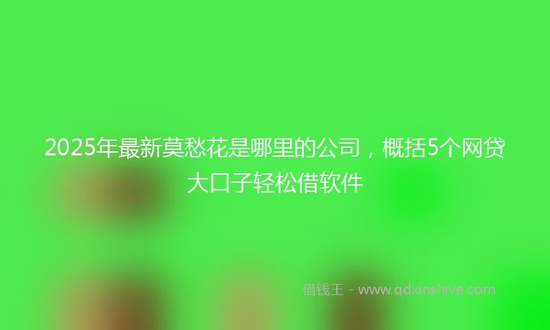 2025年最新莫愁花是哪里的公司，概括5个网贷大口子轻松借软件