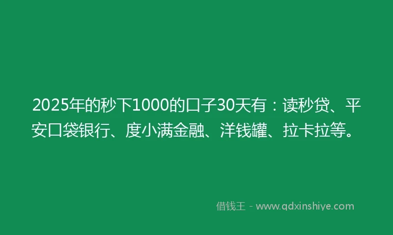 2025年的秒下1000的口子30天有：读秒贷、平安口袋银行、度小满金融、洋钱罐、拉卡拉等。